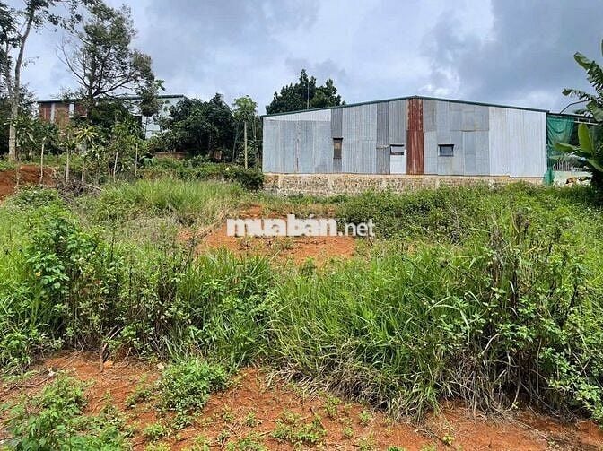 750TR - 124m2 sẵn thổ cư giá tốt 1 lô đất ngay trung tâm Lộc An