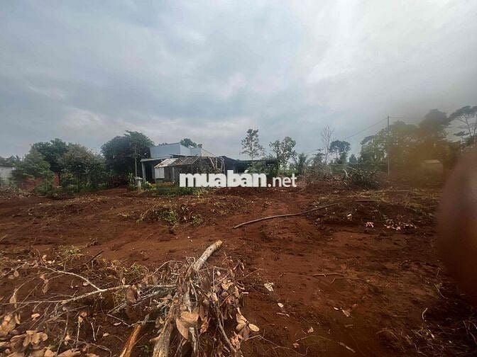 Đất đỏ cẩm mỹ ( Bảo bình cũ ) giá rẻ nhất thị trường