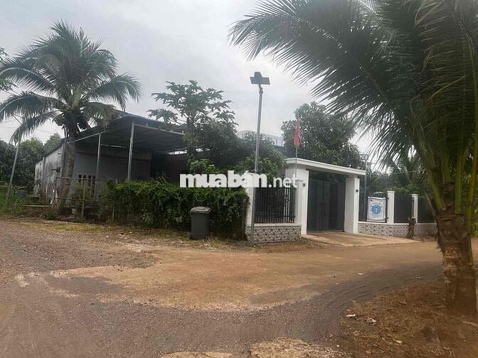 Đất đỏ cẩm mỹ ( Bảo bình cũ ) giá rẻ nhất thị trường