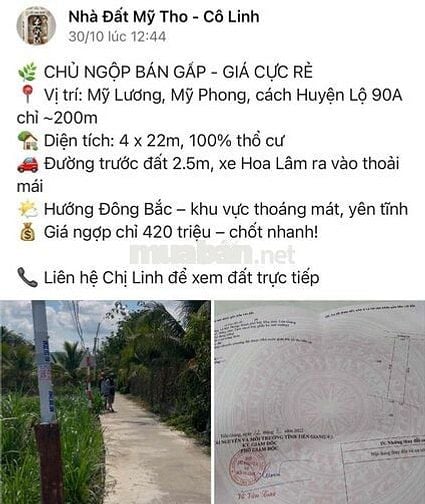 *** CẦN TIỀN BÁN GẤP ĐẤT MỸ HOÀ- MỸ PHONG
