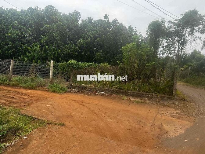 Đất đỏ cẩm mỹ ( Bảo bình cũ ) giá rẻ nhất thị trường