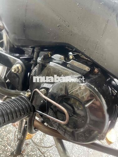 Honda Wave Alpha 2017 Trắng