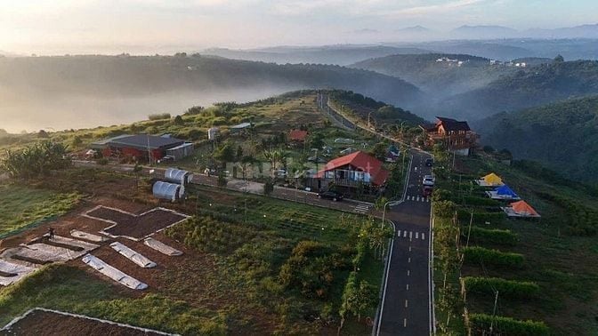 DỰ ÁN ĐỒI HOA GIÓ - 389M2 - NGHĨ DƯỠNG XANH