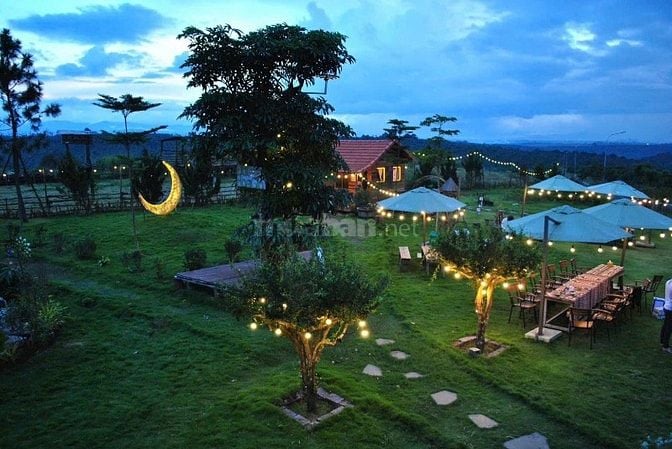 DỰ ÁN ĐỒI HOA GIÓ - 389M2 - NGHĨ DƯỠNG XANH