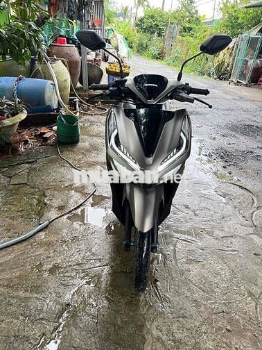 vảio 150. màu vàng các