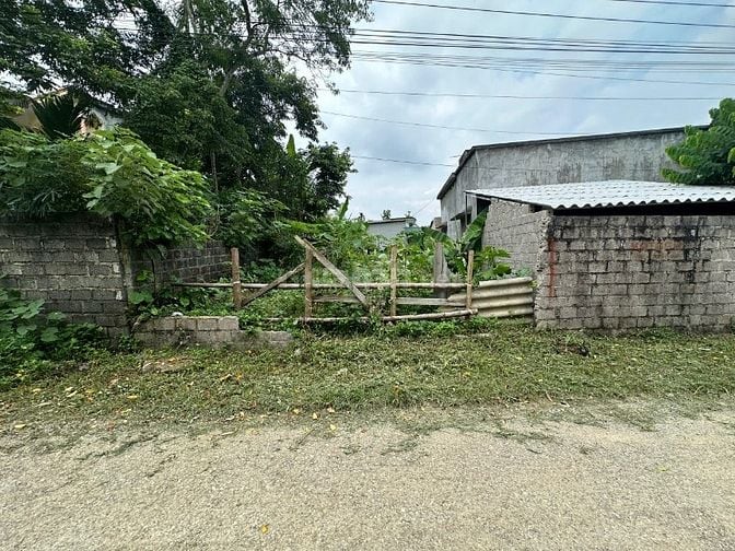 Bán lô đất 180m2 bám mặt đường nhựa liên xã tại Thanh Sơn Lương Sơn HB