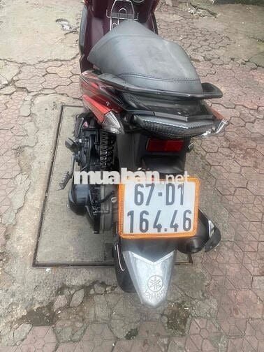 xe novo5 biển đẹp