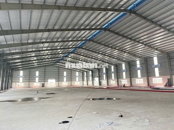 CHO THUÊ KHO XƯỞNG MỚI KCN ĐỨC HÒA 4350M2, PCCC TỰ ĐỘNG, ĐƯỜNG CONT