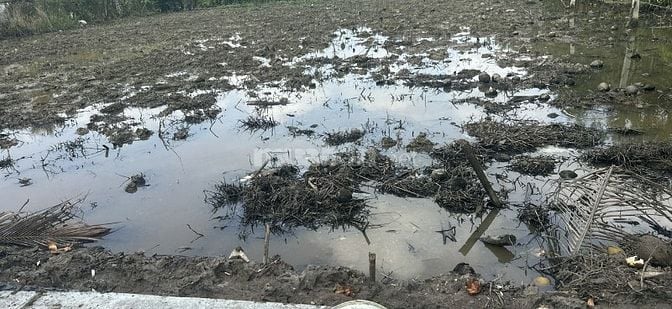 ĐẤT NỀN GIÁ RẺ TẠI  XÃ PHƯỚC THẠNH MỸ THO 