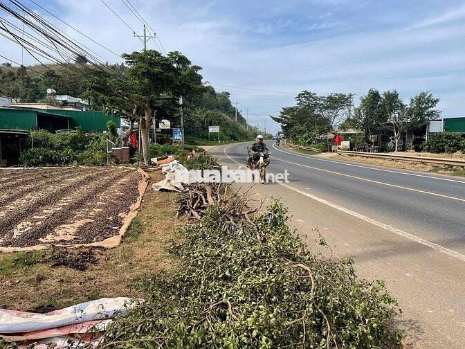 Đất 2 mặt tiền Ql20 225tr/m ngang