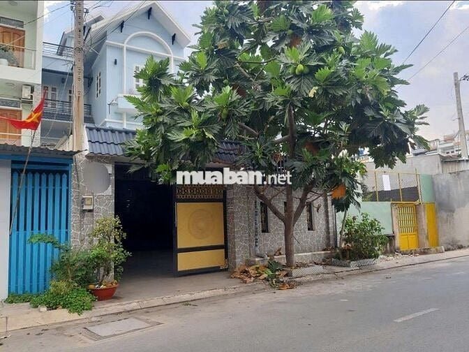 Biệt thự mini 7,8m x 25m. 3 tầng Mặt tiền Đường Hiệp Thành 35