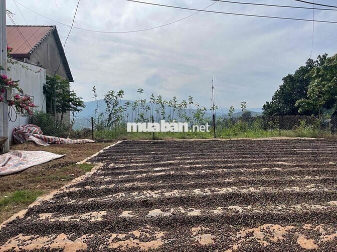 Đất 2 mặt tiền Ql20 225tr/m ngang