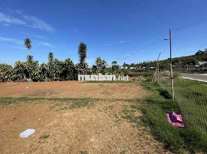 Ngân hàng thanh lý lô đất 240m2 tại Hoà Trung, Di Linh, Lâm Đồng