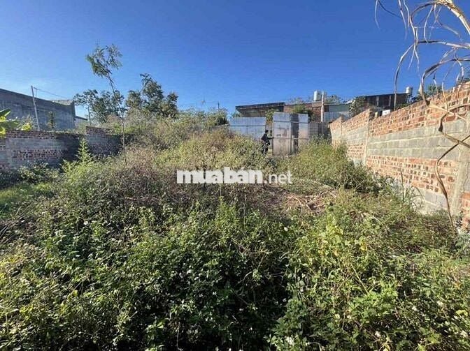 Thanh lý lô đất full thổ 280m2 tại Hoà Ninh, Di Linh, Lâm Đồng