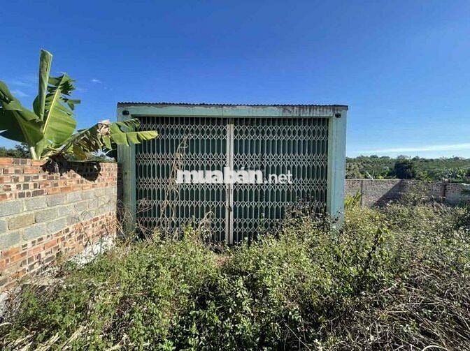 Thanh lý lô đất full thổ 280m2 tại Hoà Ninh, Di Linh, Lâm Đồng