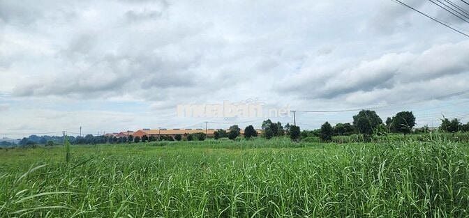 BÁN ĐẤT KCN NAM THUẬN, ĐỨC HÒA 190USD/M2 DIỆN TÍCH VỊ TRÍ THEO NHU CẦU