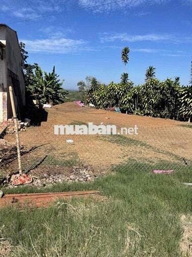 Ngân hàng thanh lý lô đất 240m2 tại Hoà Trung, Di Linh, Lâm Đồng