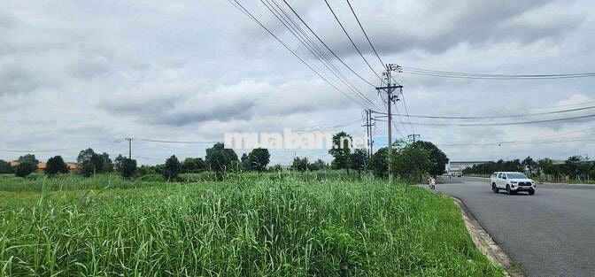 BÁN ĐẤT KCN NAM THUẬN, ĐỨC HÒA 190USD/M2 DIỆN TÍCH VỊ TRÍ THEO NHU CẦU