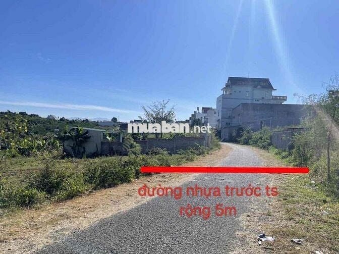 Thanh lý lô đất full thổ 280m2 tại Hoà Ninh, Di Linh, Lâm Đồng