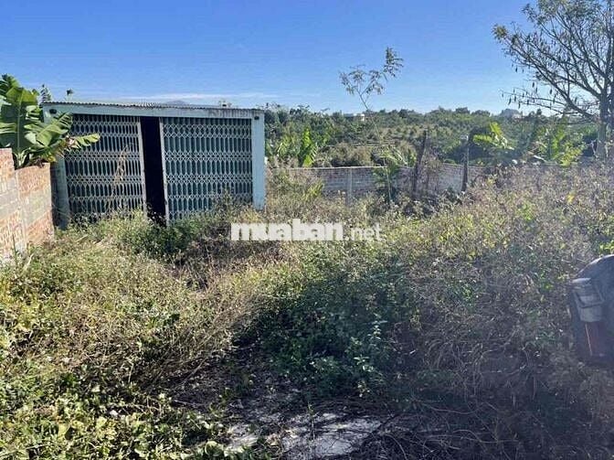 Thanh lý lô đất full thổ 280m2 tại Hoà Ninh, Di Linh, Lâm Đồng