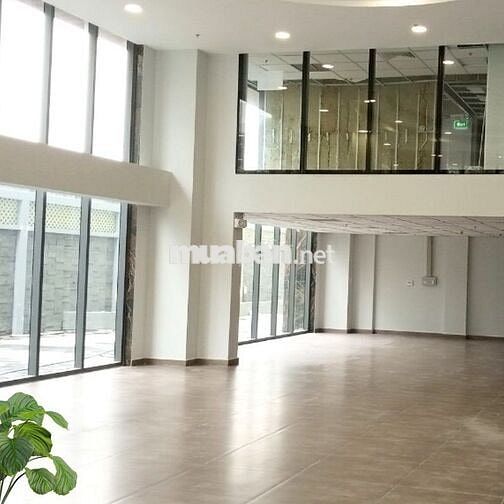 Văn phòng cho thuê tại tòa nhà Mộc Gia mặt tiền đường Tân Thắng