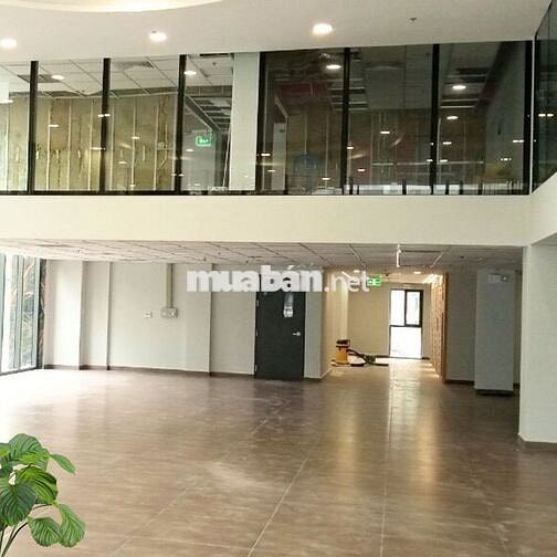 Văn phòng cho thuê tại tòa nhà Mộc Gia mặt tiền đường Tân Thắng