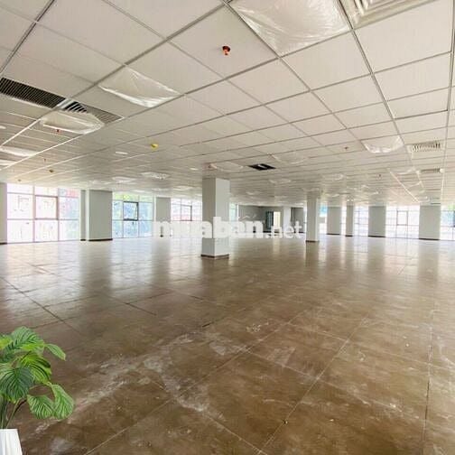 Văn phòng cho thuê tại tòa nhà Mộc Gia mặt tiền đường Tân Thắng