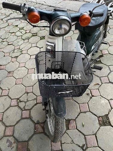 bán xe Honda cup 50