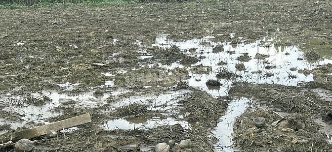 ĐẤT NỀN GIÁ RẺ TẠI  XÃ PHƯỚC THẠNH MỸ THO 