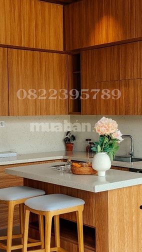 Chỉ HƠN 70 TRIỆU/M2 SỞ HỮU NGAY BT Song Lập Komorebi Nhật Bản Vinhomes