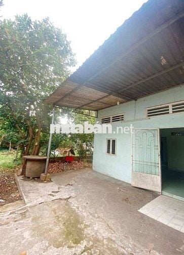 Bán nhà vườn cấp 4 - 139m2 - Đường 2m