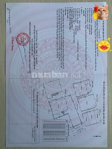 Cc gửi bán nhà mt p1 gò vấp ngay trung tâm giá 280 tỷ 