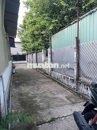 Bán nhà vườn cấp 4 - 139m2 - Đường 2m