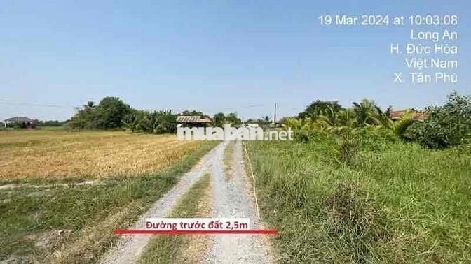 Ngân hàng Thanh Lý đất tại Tân Phú, Đức Hòa, Long An. DT: 875m2