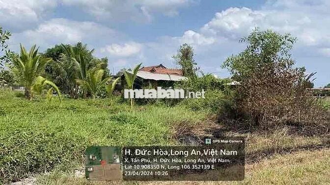 Ngân hàng Thanh Lý đất tại Tân Phú, Đức Hòa, Long An. DT: 875m2