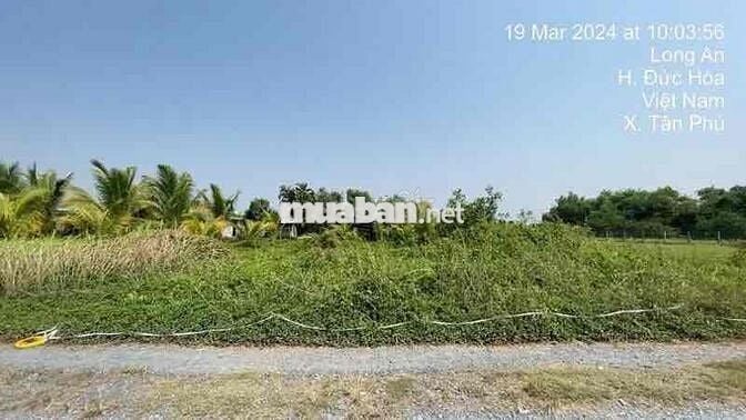 Ngân hàng Thanh Lý đất tại Tân Phú, Đức Hòa, Long An. DT: 875m2