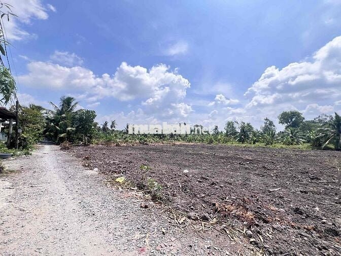 Đất xây nhà vườn 10x38m giá 1ty760 đường ô tô