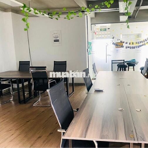 Văn Phòng Cho Thuê Mặt Góc Hoàng Kế Viêm, Giá Ưu Đãi 100m2/29tr