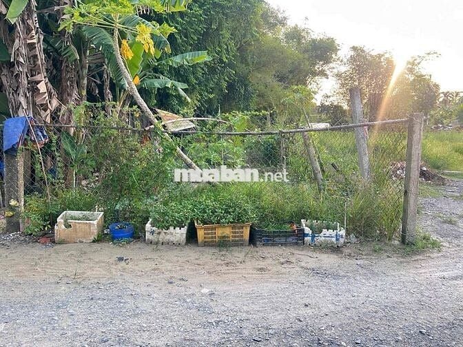 Chính chủ cần bán lô đất cất nhà giá rẻ