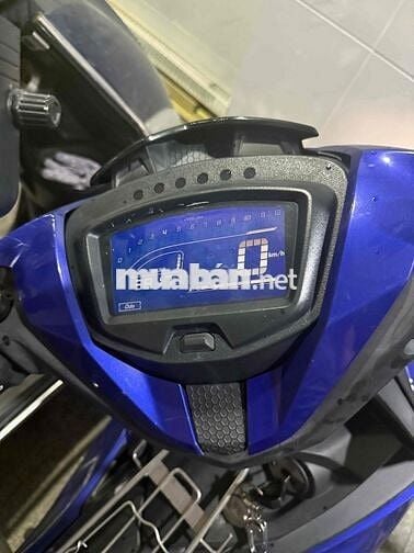 zin all không có nhu cầu cần bán