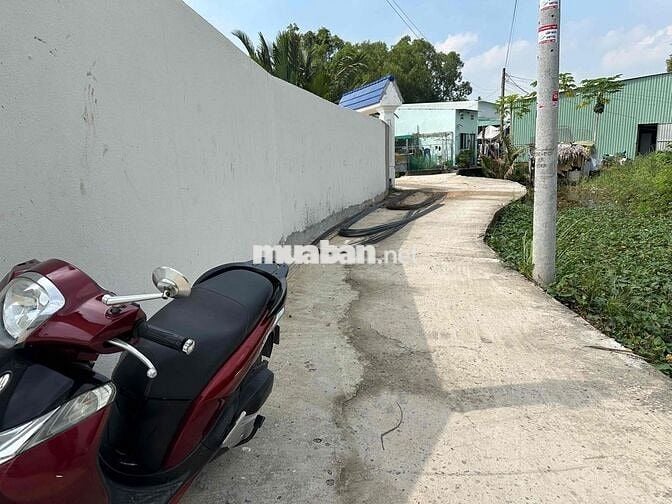 bán nhà vườn tân kim củ(nay thuộc xã cần giuộc tây ninh)