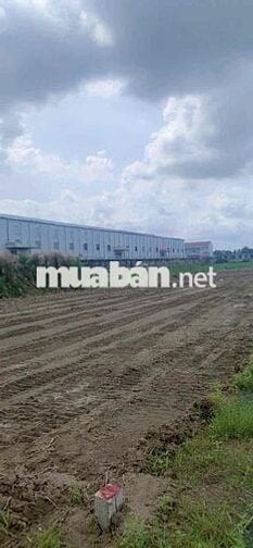 🔥BÁN ĐẤT MẶT TIỀN ĐƯỜNG 830 – GẦN CHỢ TRẠM – GIÁ CHỈ TỪ 7–12 TRIỆU/M