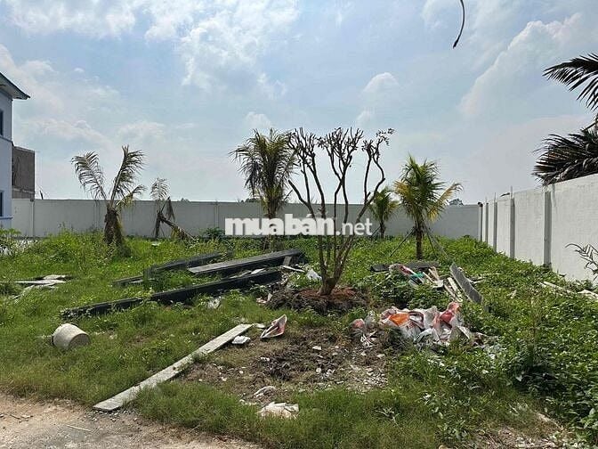 bán nhà vườn tân kim củ(nay thuộc xã cần giuộc tây ninh)