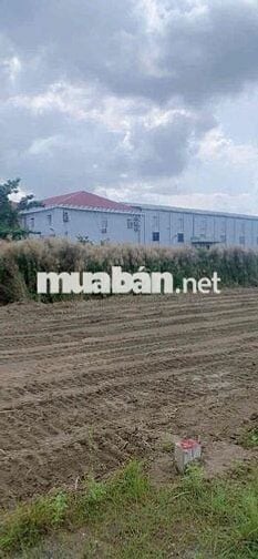 🔥BÁN ĐẤT MẶT TIỀN ĐƯỜNG 830 – GẦN CHỢ TRẠM – GIÁ CHỈ TỪ 7–12 TRIỆU/M