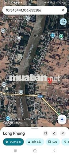 Cần bán gấp 902mv đất lúa Long Phụng, Cần Giuộc