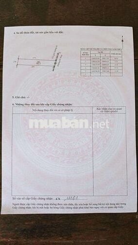 Cần bán gấp 902mv đất lúa Long Phụng, Cần Giuộc