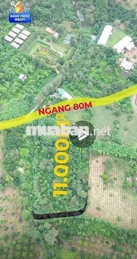 Gần 11.000m2 đất, 80m mặt tiền lớn, hông ôm suối
