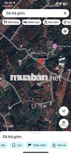 Gần 11.000m2 đất, 80m mặt tiền lớn, hông ôm suối