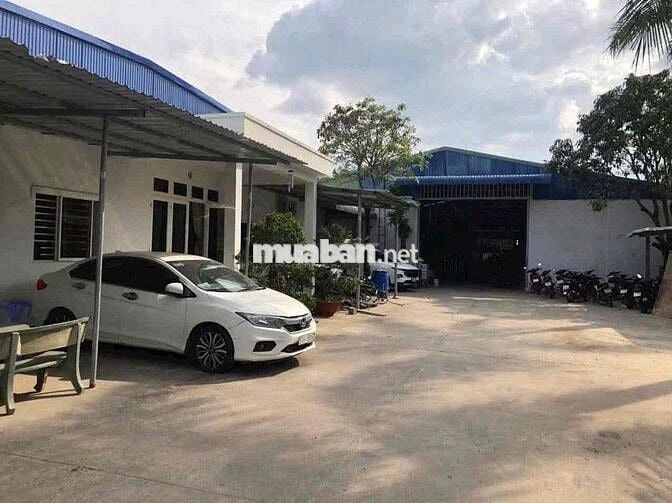 CẦN BÁN GẤP XƯỞNG MT BÙI THỊ XUÂN