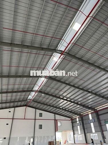 CHO THUÊ KHO 1.400m² PCCC TỰ ĐỘNG XE CONTAINER 24/24